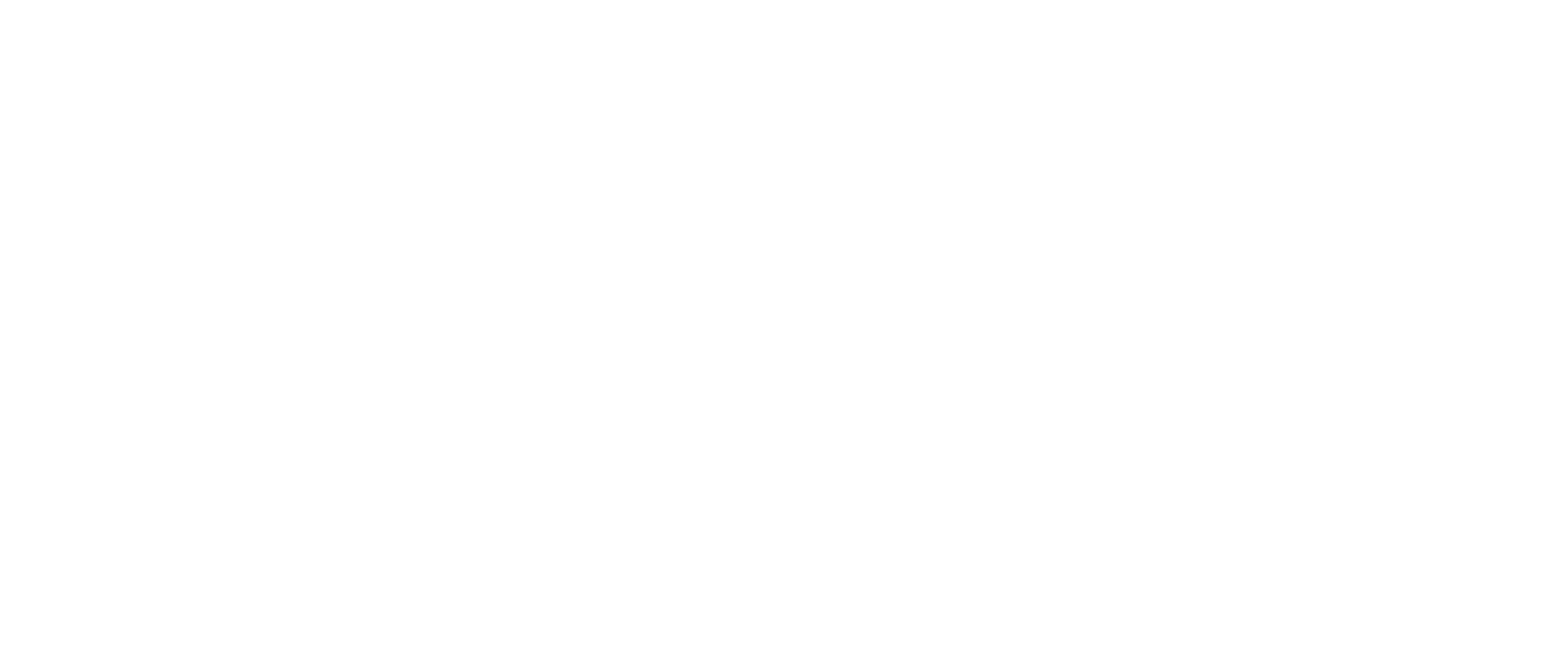 2020-01-06_SimpleC 2017 Logo_White